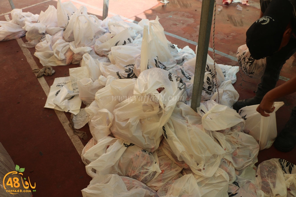 ada7y forthei (112).JPG